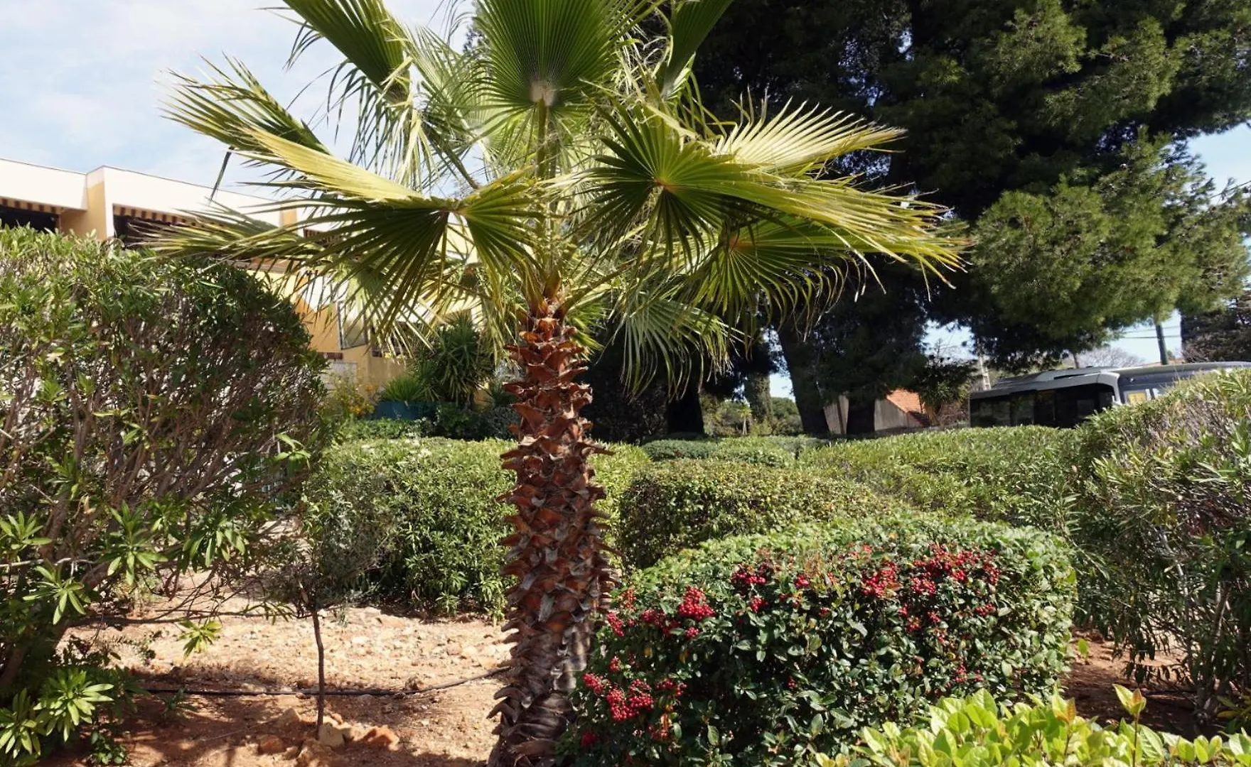 Les Jardins De Bandol, Piscine Privee, Belle Vue Mer Apartment