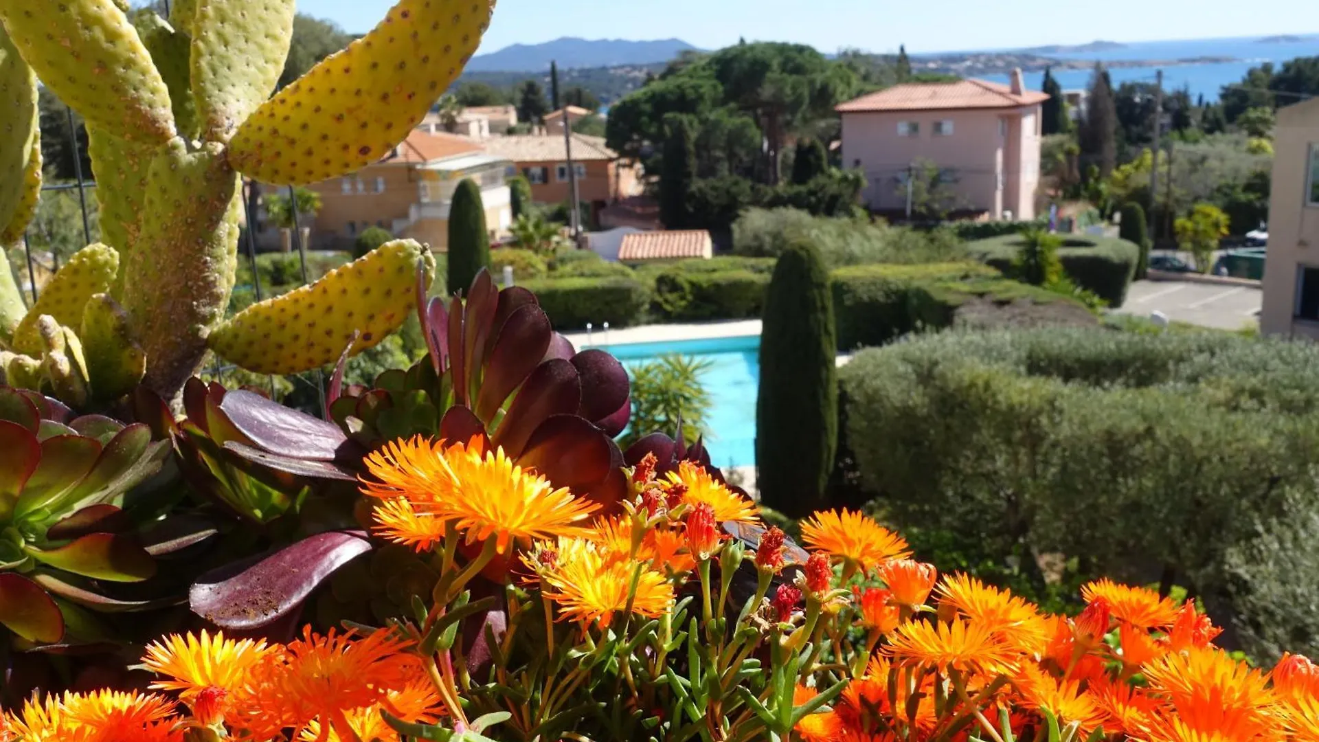 Appartement Les Jardins De Bandol, Piscine Privee, Belle Vue Mer